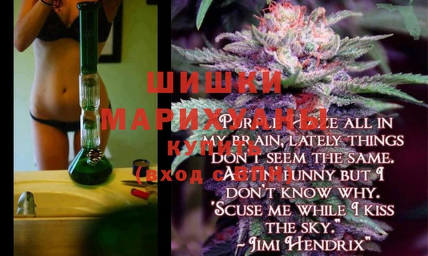 сатива Снежинск